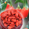 2019 Organic new red Gojiberry